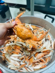 Ghẹ tươi chắc thịt không ốpp tại Quảng Nam