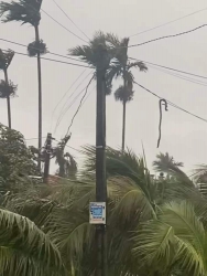 Vừa đổ bộ Yagi đã thổi bay một con rắ tại Quảng Nam