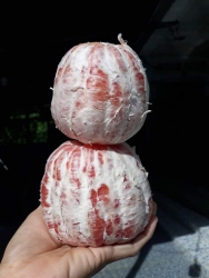Bưởi da xanh bao ngon, bao rẻ, không có ký tự đặc biệt và viết tắt tại Quảng Nam