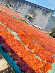 Ngắy nắng đẹp em lái lê giành tại Quảng Nam