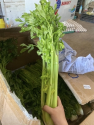 Bán Chả Cá Lý Sơn, Chả Thác Lác, Phi Lê Cá Hồi, Bò Viên và Thanh Long Đỏ tại Quảng Nam
