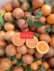 Hàng về săn sang nay khach lây j e giao luôn Miễn ship nha tại Quảng Nam