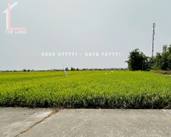 Đất An Mỹ Cẩm Châu - View Lúa Trực Diện - Kèm Nhà tại Quảng Nam