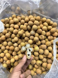  tại Quảng Nam