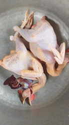 tại Quảng Nam