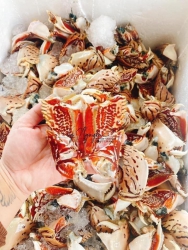 HOT HOT - Ghe VÀO ĐƯỢC NHIỀU CÀNG NHỜ EM BÁN GIÚP.. KHÁCH LÊN ĐƠN ZÁ RẺ ĂN NÈ tại Quảng Nam