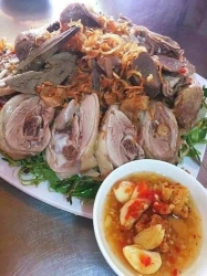 Vịt đồng ngon tươi 1.5kg tại Quảng Nam