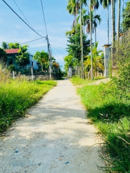 Chào bán lô ĐIỆN PHƯƠNG gần ốc hút Hạnh tại Quảng Nam