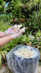 Bóc tem thùng sứa mới về, thực sự chim ưng quá luôn ạ, khách hàng trao em niềm tin, thì em phải trao lại cho khách hàng chất lượng và uy tín tại Quảng Nam