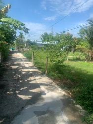 n lô vườn tâm huyết tại Quảng Nam