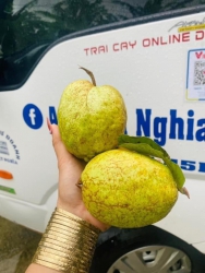 Trung manh roi khach oi, trung lo oi ngot nhu mat nha tại Quảng Nam