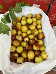 Gấp cần bán mấy thùng đại hồng táo giòn ngọt tại Quảng Nam