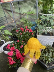  rẻ tại Quảng Nam