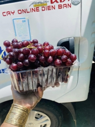 o em miễn ship luôn nhé tại Quảng Nam