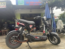 Vua ban vua cho Bao hanh binh dien 1 nam tại Quảng Nam